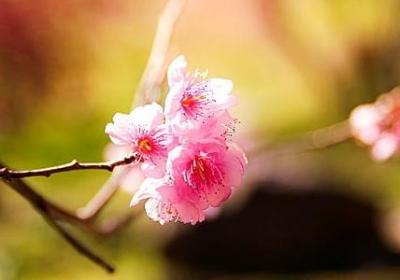 社会大哥经典语录(优选80句)