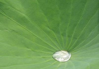 王者荣耀经典语录大全(汇总80句)