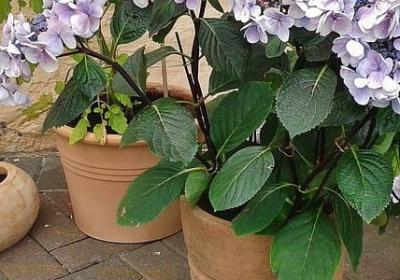 王俊凯经典语录(必备60句)