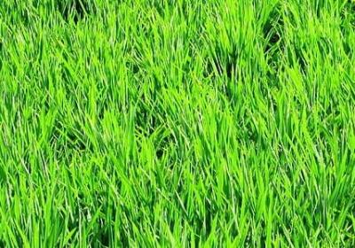 看透别说透经典语录(通用10句)