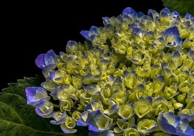 社会摇经典语录(推荐20句)