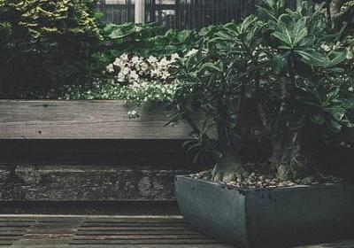 看透人生的经典语录(精选39句)