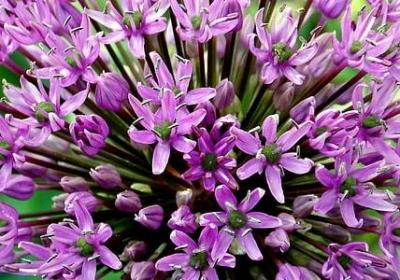 甄嬛传经典语录(通用40句)