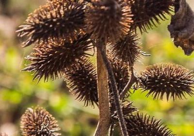 白岩松语录经典语录(必备60句)