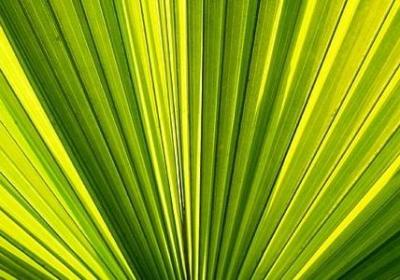 电视剧奋斗经典语录(通用40句)