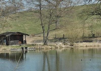 社会经典语录霸气(实用70句)