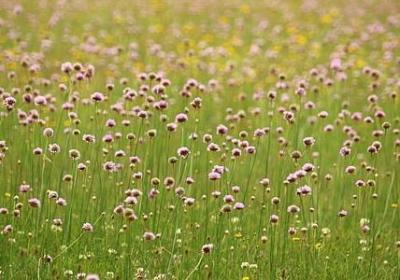 现实社会经典语录(优选56句)