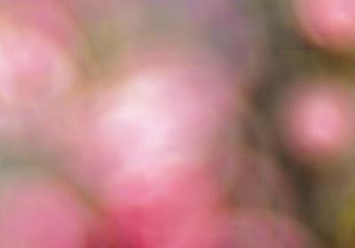 盗墓笔记经典语录(推荐40句)