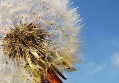 王福重经典语录(汇总20句)