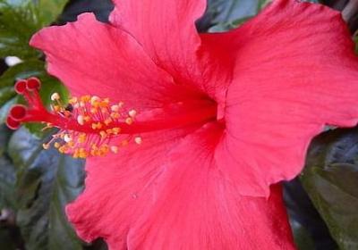 清单人生经典语录(推荐50句)