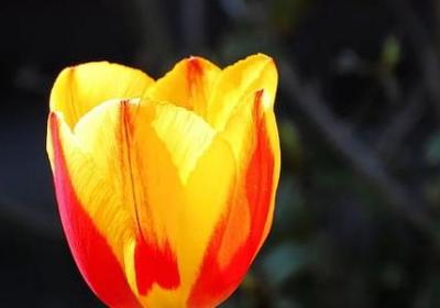 目送经典语录(实用20句)