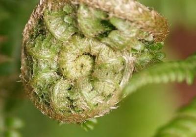 热爱机车的经典语录(优选70句)