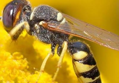 玄幻小说经典语录(20句)