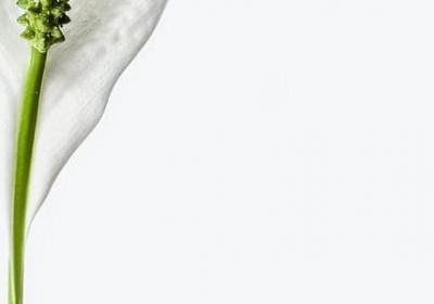 社会磕经典语录(热门80句)