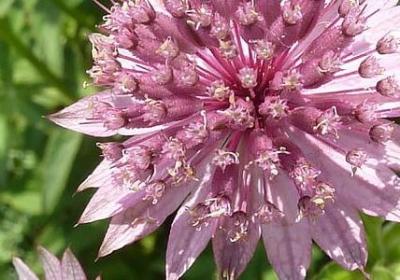 田晓霞经典语录(热门90句)