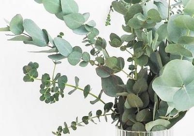 男女之间经典语录(实用110句)