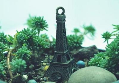 王俊凯说的经典语录(必备60句)