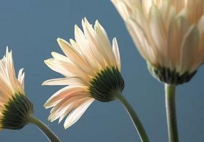 看尽人间百态经典语录(合集70句)