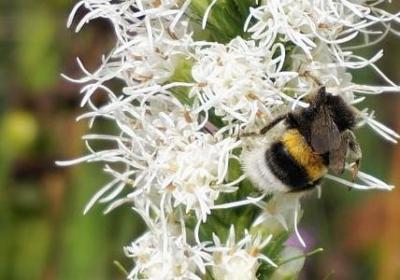 男亲女爱经典语录(实用40句)