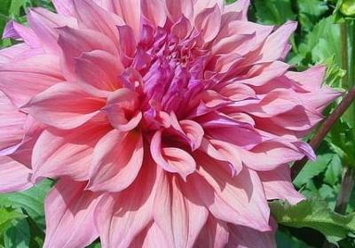 疯子和傻子经典语录(合集40句)