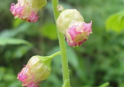 爱情文学经典语录(共49句)