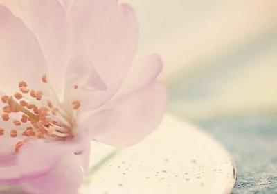 生日祝福经典语录(优选70句)