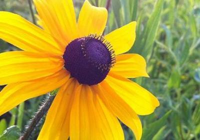 短句经典语录(热门60句)