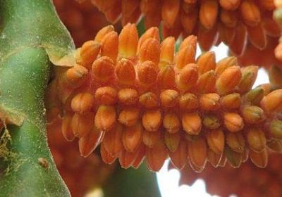 爱情电影台词经典语录(共49句)