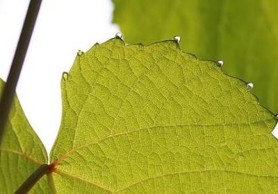 皮囊经典语录(必备60句)