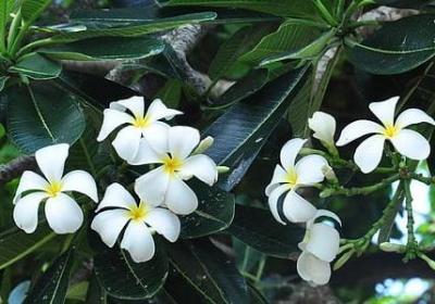 王也道长经典语录(共100句)