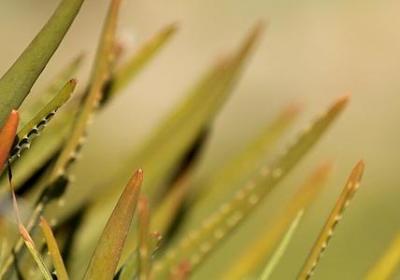 社会句子短句经典语录(热门50句)