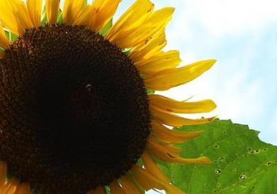 琼瑶语录经典语录(合集30句)