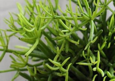 男女相处之道经典语录(优选21句)