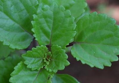 王阳明经典语录大全(汇总40句)