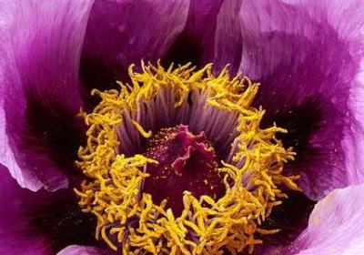 灰原哀经典语录(汇总30句)