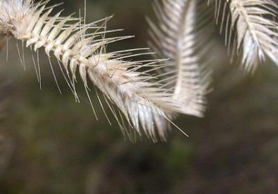 熊出没经典语录(实用99句)