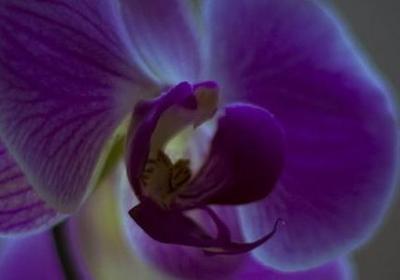 爬山感悟经典语录(汇总50句)