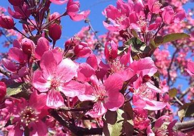 社会人经典语录霸气(精选20句)