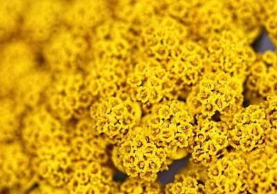 爱不是靠嘴说经典语录(通用70句)