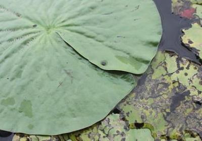 男人这东西经典语录(汇总40句)