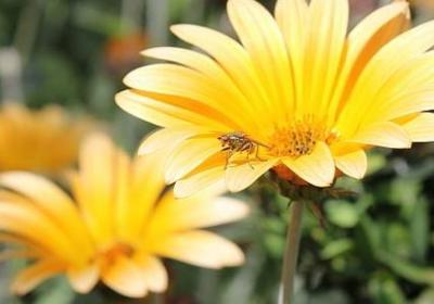 社会心理学经典语录(实用50句)