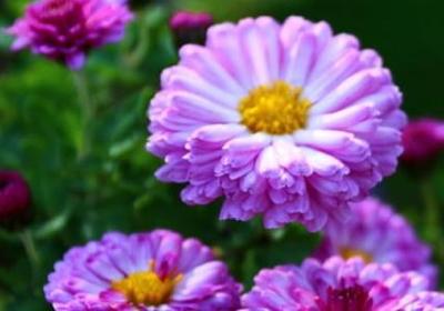 白夜行经典语录(汇总20句)