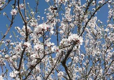 激励健身的经典语录(合集50句)