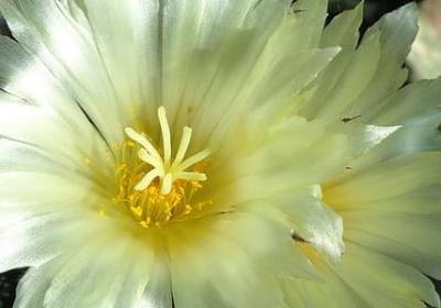 社会经典语录短句(合集40句)