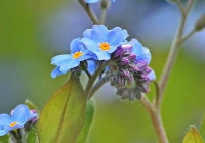 渣男经典语录(实用40句)