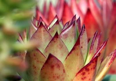 男人感叹经典语录(合集60句)