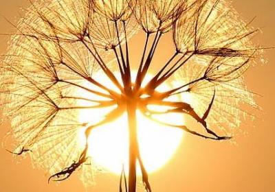 生命不息的经典语录(精选45句)