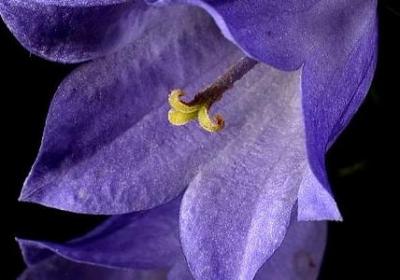 玄幻小说的经典语录(共50句)