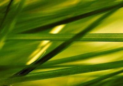 漫长的告别经典语录(推荐50句)