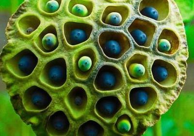 碟中谍经典语录(50句)